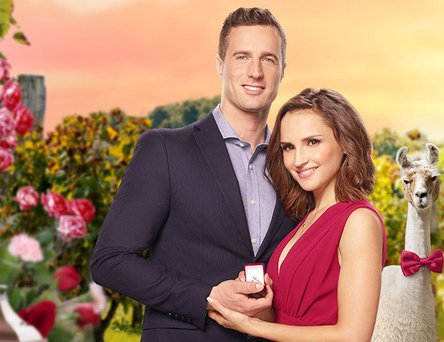 Valentine In The Vineyard